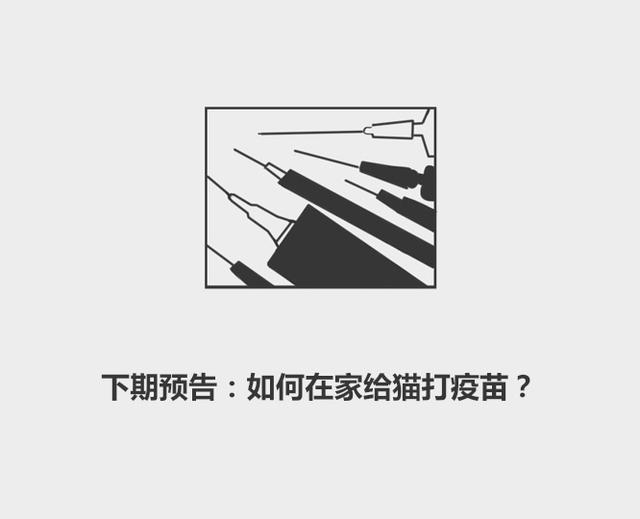 狗狗疫苗怎么打，狗狗打疫苗有什么顺序（分分钟了解宠物知识——为什么狗要打疫苗）