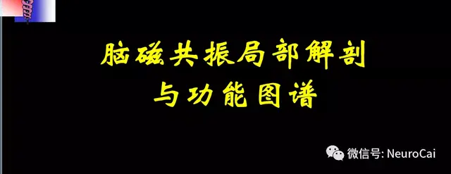 大脑结构图及功能图，人类大脑十大三维解剖图（脑局部解剖与功能图谱）
