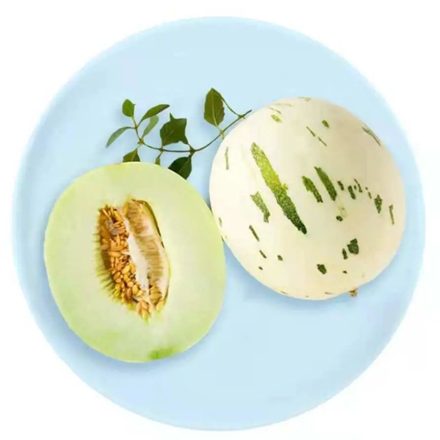 月露(上)与玉菇(下)也是翠绿色的果肉02part —— 用蜜瓜鲜果饮品