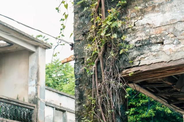 观澜属于深圳哪个区,观澜属于深圳哪个区地图(观澜,景美人少) 观澜属于深圳哪个区,观澜属于深圳哪个区地图(观澜,景美人少)