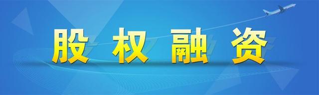 公司股权结构怎么写,股权结构（专业的股权结构是怎样的）