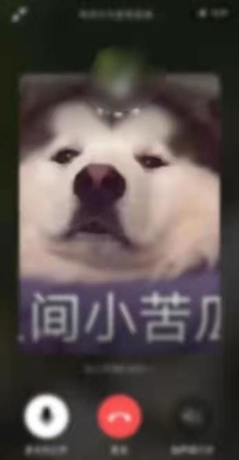 没有朋友圈入口，怎么让名片没有朋友圈入口（微信社交过剩了吗）