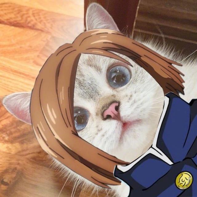 加菲猫图片卡通，一组加菲猫头像‖成年人也只是过期了的小盆友呀.微信（橘猫形态两面宿傩）