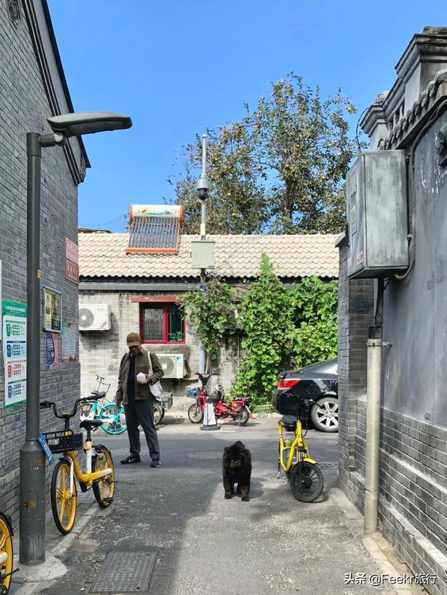 大栅栏有什么好玩的，大栅栏有什么好吃好玩的（来这些藏身胡同里的好去处一探究竟）