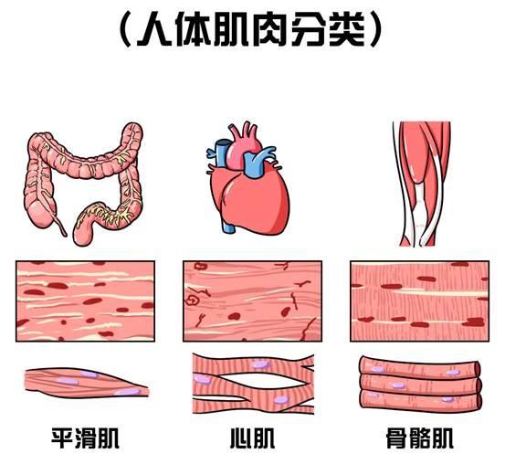 南京丁丁网（面对现实吧）