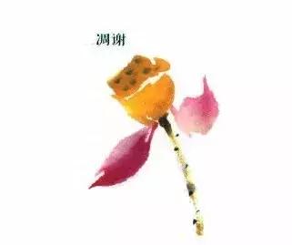 花蕾和花蕊有什么区别，花与花蕾的区别（花朵与花苞的处理）