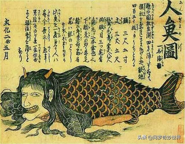 美人鱼真实存在吗，美人鱼真的存在吗（两个科学家的发现也许是对的）