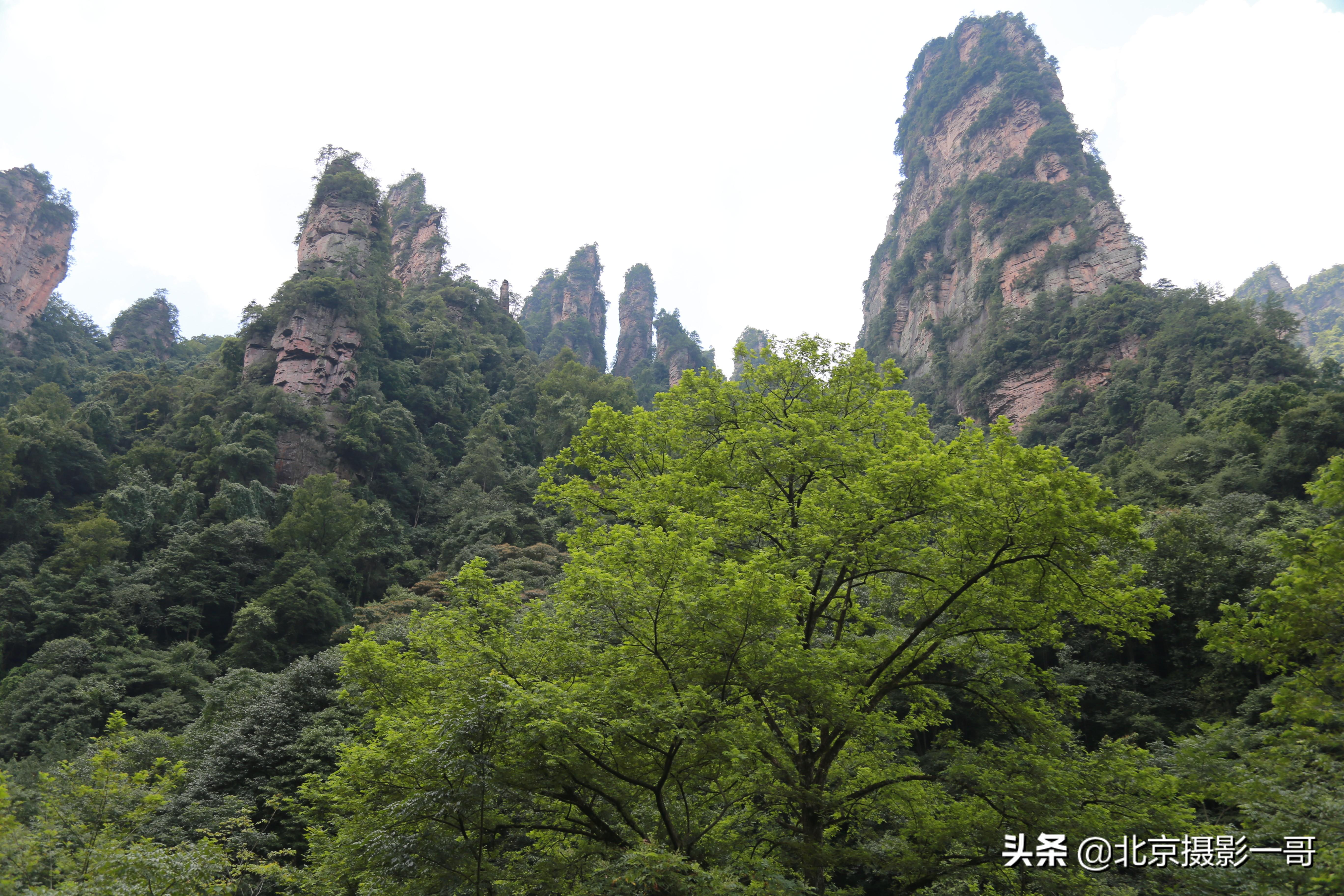 富兰特（一哥亲子游之张家界森林公园和天门山自由行三日游）