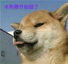 sd是什么意思，sd是什么意思追星（2018流行词语，来看一看吧）