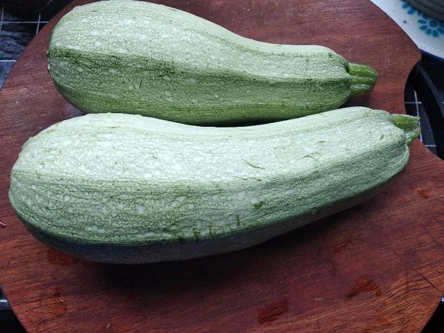 牛腿瓜怎么炒,牛腿瓜的做法窍门(适合三伏天的3种包子馅)