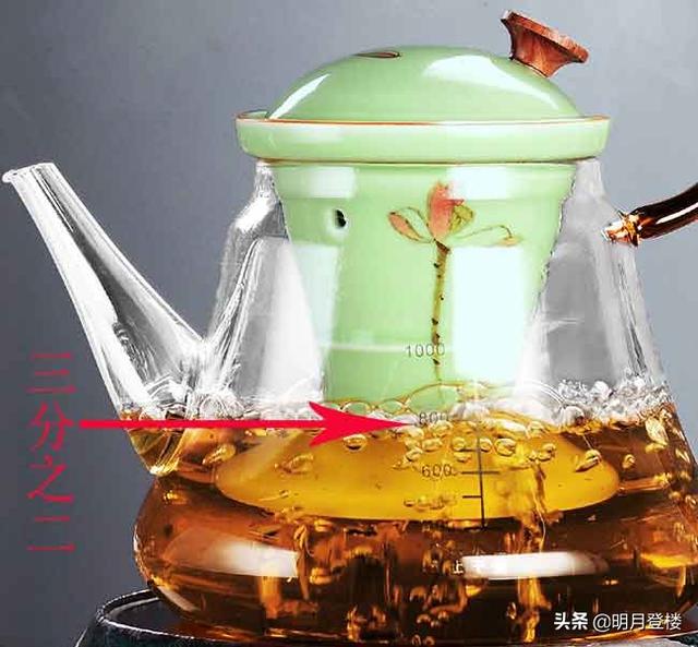 什么茶叶适合用蒸茶器，什么茶适合蒸茶器蒸着喝（入手了一个蒸茶器，体验超级好）