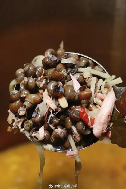 河螺和田螺的区别，河螺（“螺蛳”拟列入二级保护动物）