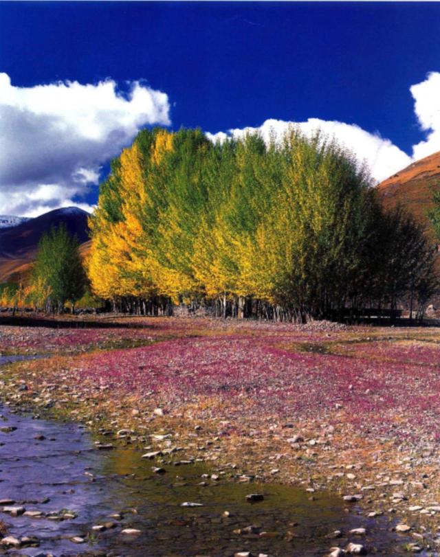 稻城亚丁几月份去最好，11月去稻城亚丁要注意什么（让稻城亚丁自己告诉你什么时候去亚丁最美）