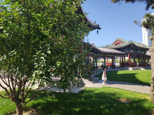 太原迎泽公园在哪儿，太原市内最大公园