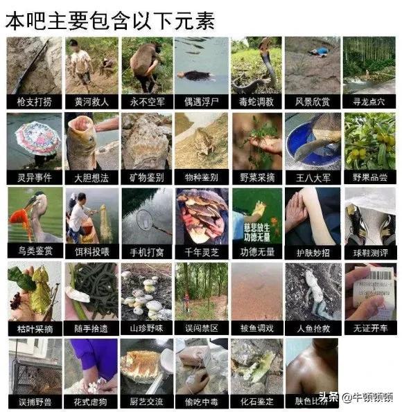 钓鱼吧贴吧风波再起：用户热议平台变化与未来走向，引发广泛关注讨论。