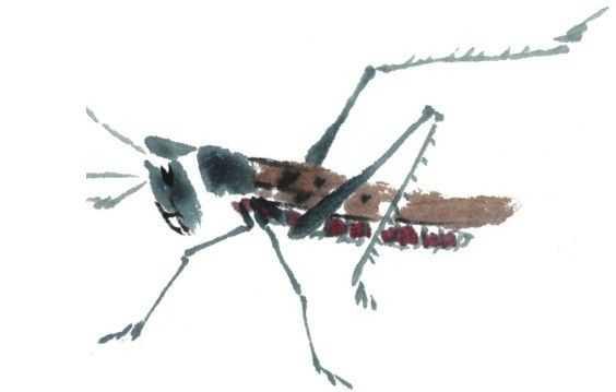 蜻蜓简笔画，蜻蜓简笔画彩色（老艺术家教你几个画法）