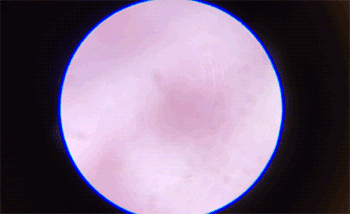 儿童科学探索显微镜，启发孩子科学探索思维
