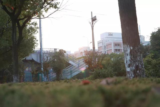 安徽三联学院地址，安徽三联学院怎么样好不好全国排名第几（<三十三>安徽三联学院）