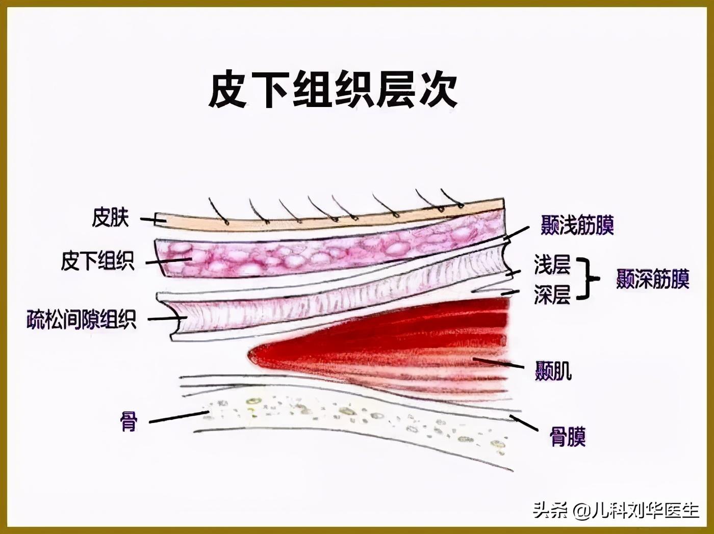讳疾忌医的主人公是谁，这个典故中的君王是谁（读“讳疾忌医”这么多年）