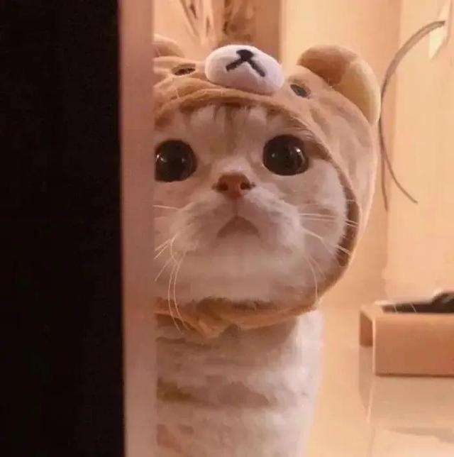 不容易被发现的情侣头像，不容易被发现的情头微信（超甜又隐蔽的情侣头像）