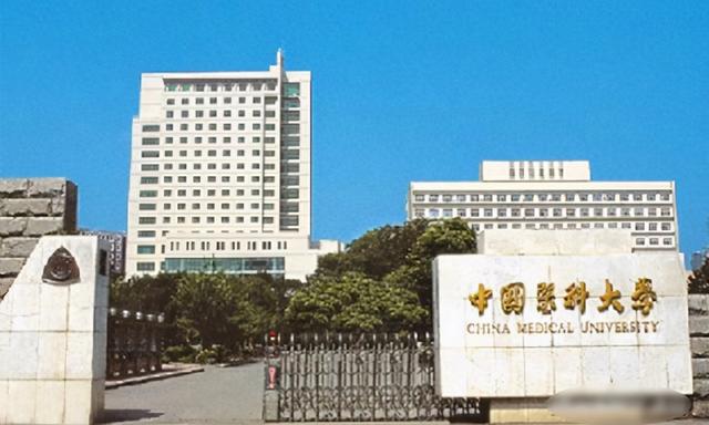 哈工大怎么样，哈工大大数据专业怎么样（聊聊哈工大、吉大、大工、东北大学、东北师大）