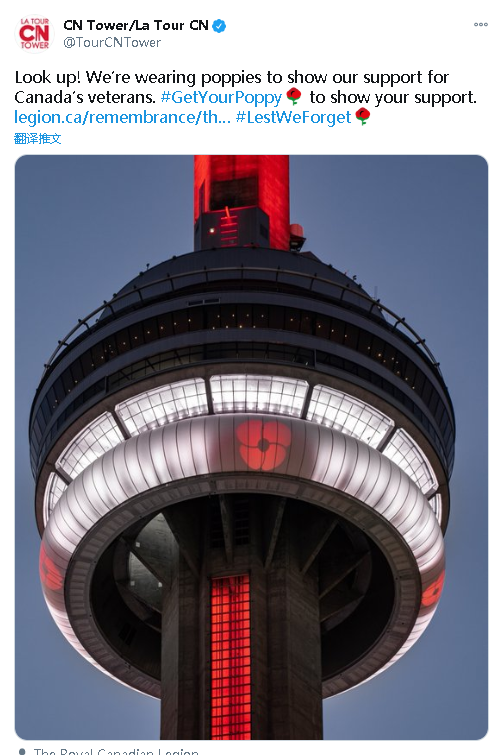 Poppies(罂粟花)网名，Poppies(罂粟花)（禁戴罂粟花纪念亡灵）