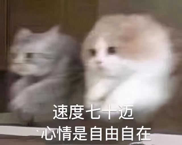 qq代理服务器下载，上网代理 安全产品（无数人用了20年的下片工具）