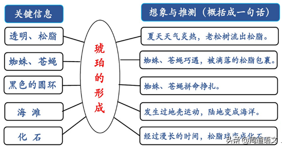 形容人硬件和软件分别是什么意思，人的软硬件指什么（语文教材四<下>课后习题答案）