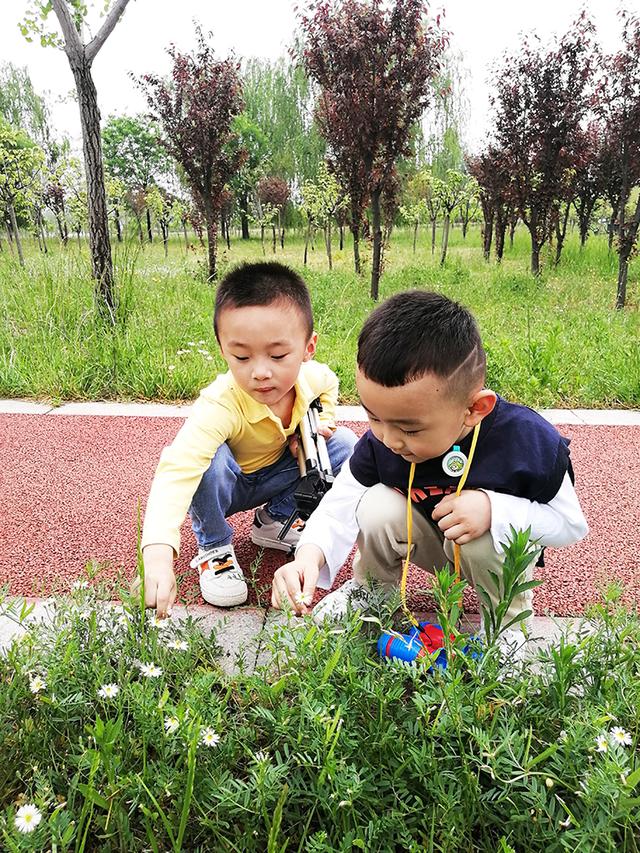 形容天伦之乐的唯美句子，天伦之乐的优美句子有哪些（春花开得早 郯城乐逍遥）