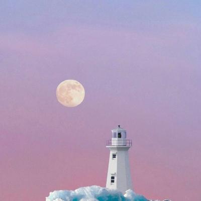 2018最新的微信昵称          佛系小可爱网名，2018最新的微信昵称          佛系小可爱微信昵称（无欲无求女生佛系网名随缘-可爱点）