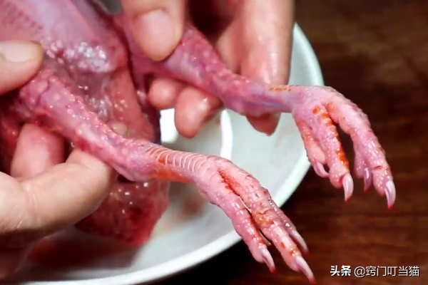 鸽子头能吃吗，鸽子汤为什么不能放姜（鸽子身上5个部位含有毒素）