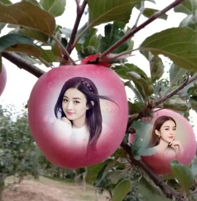 卡通植物-水果，微信头像，卡通植物-水果（垂涎欲滴的纯天然水果头像）