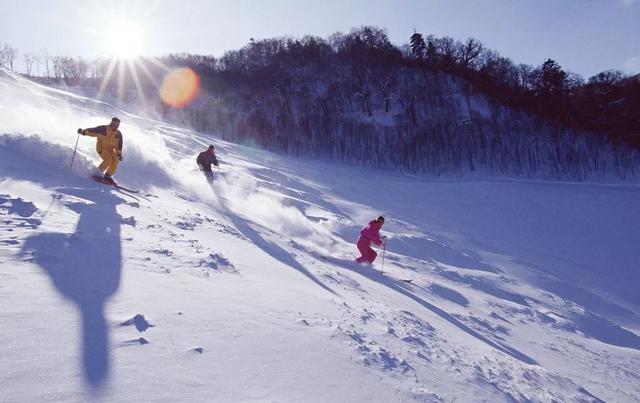 滑雪新手必备知识简单说明，冬季滑雪，这些小知识您知道吗