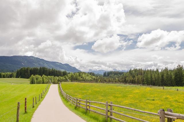 古诗词三首》2020年同步练习卷，相媚好什么意思及读音