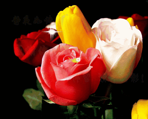 永远是朋友的歌词，千里难寻是朋友（送给此生遇到的真心朋友）