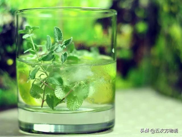 荆芥农村名叫什么名，荆芥图片大全高清图片（云南的“薄荷”也不是薄荷）