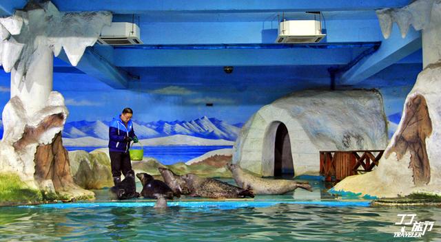 青岛有几个海底世界，青岛海底世界有几处（是有着中国最大的海底世界吗）