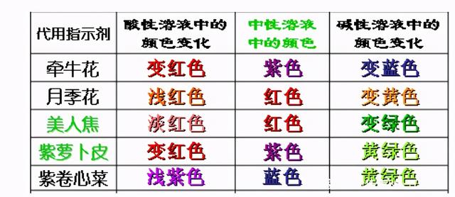 用稀硫酸除铁锈的原理是什么，硫酸除铁锈生成什么（九年级化学第十讲 常见的酸）