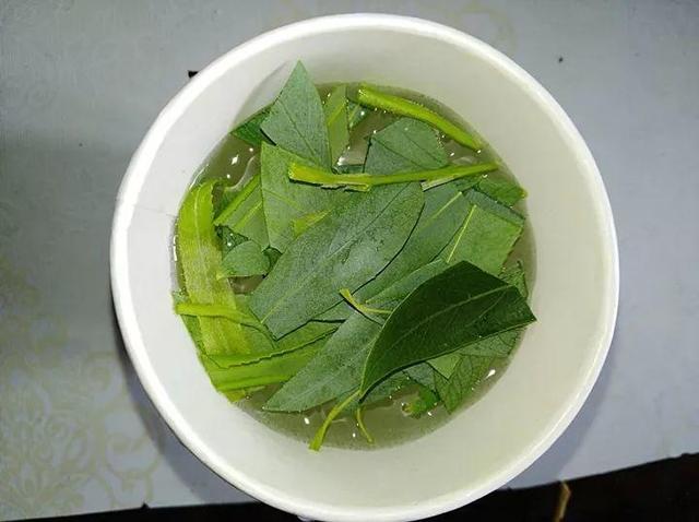 家里有鼻涕虫怎么消灭，鼻涕虫怎么彻底消灭（自制天然杀虫水）