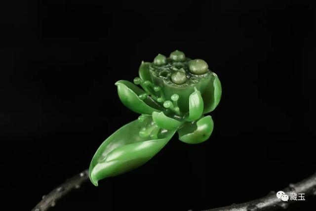 莲蓬和荷花的寓意，莲蓬荷花的寓意和象征（和田玉上的一“莲”幽梦）