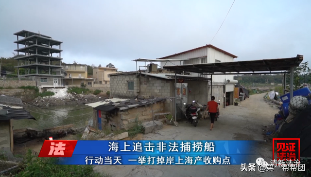 鲎是保护动物吗，鲎是保护动物吗为啥（休渔期非法捕捞国家保护动物中华鲎）