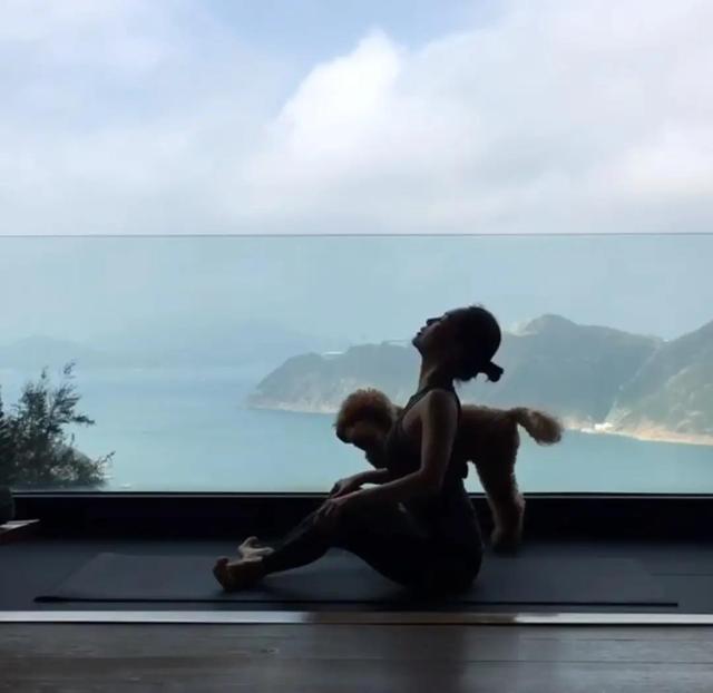 禅柔是什么，禅柔是什么课程（香港歌手彭羚每天练习婵柔运动）