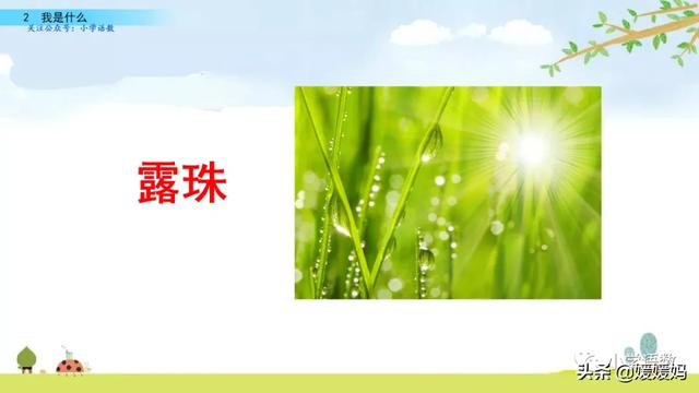 晒组词,晒组词二年级上册(部编版二年级语文上册第2课《我是什么》课件及同步练习) 晒组词,晒组词二年级上册(部编版二年级语文上册第2课《我是什么》课件及同步练习)