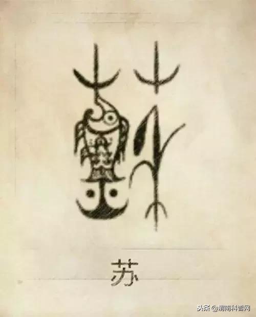 一个草字头一个吕，草字头加吕什么字（中国100大姓氏起源、图腾）