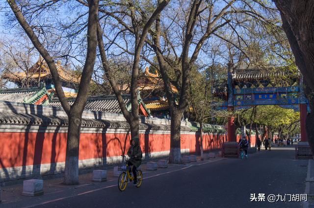 中国古代的最高学府有哪些，中国古代最好学府（中国古代最高学府和教育行政机构）