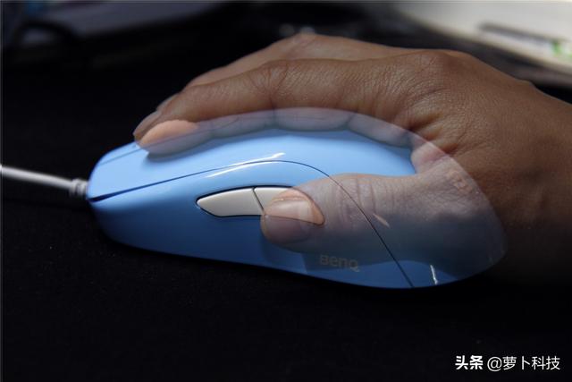 divina跳蚤防治，吡虫啉灭跳蚤（职业FPS选手标配）