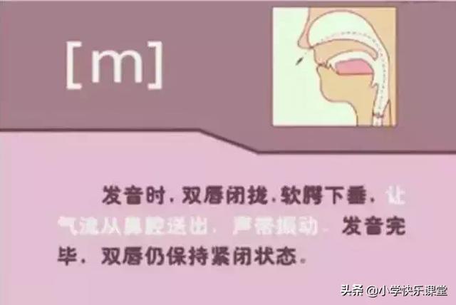 音标读音表发音教学，音素表怎么写（48个国际英语音标发音表及口型）