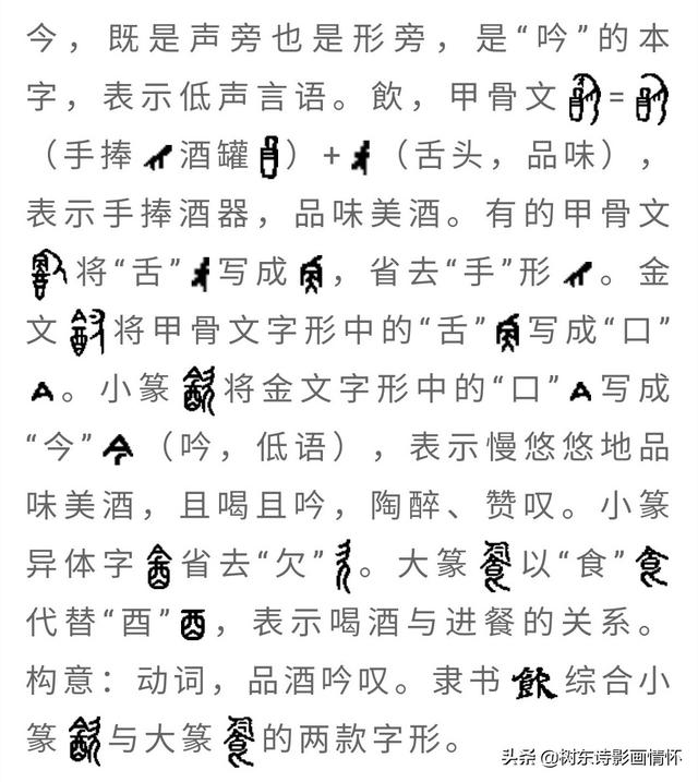 饮的拼音，饮的拼音（饮的读音（了解“饮”字演变）