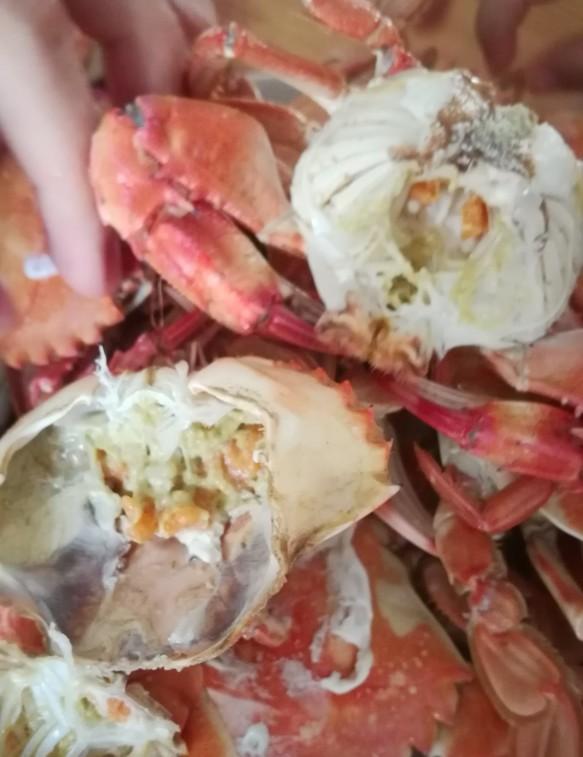 花盖蟹蒸多久,花盖蟹蒸多久窍门(细品花盖蟹)