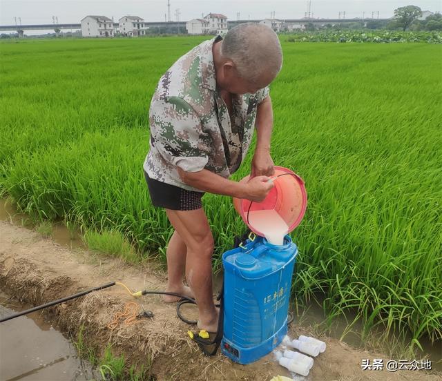 化学实验操作方法等比倍比稀释，液体倍比稀释法（农药稀释倍数怎么计算）